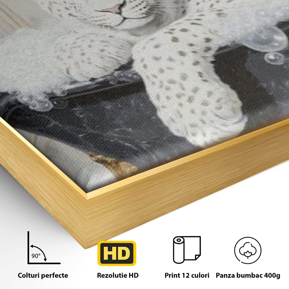 Detaliu al suprafetei: tablou canvas cu leopard alb in cada, in rama de aluminiu auriu